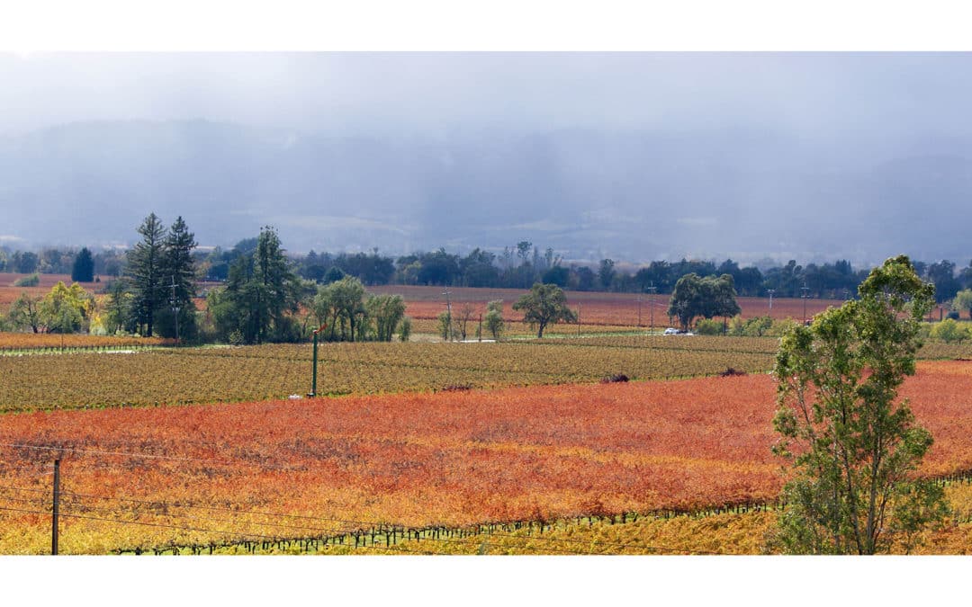October Events in the Napa Valley