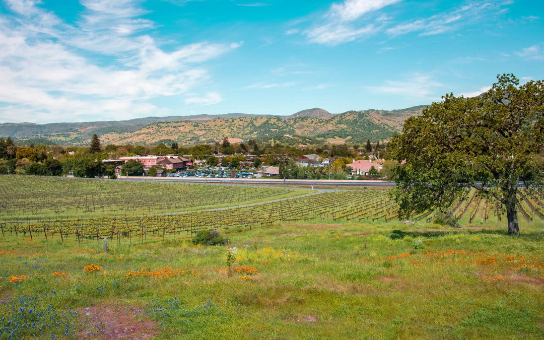 June Events in Yountville and the Napa Valley