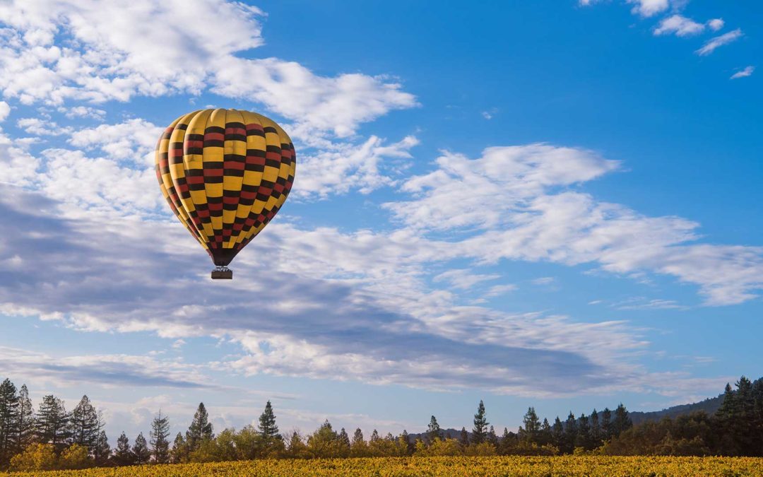 Balloons Above the Valley - Yountville