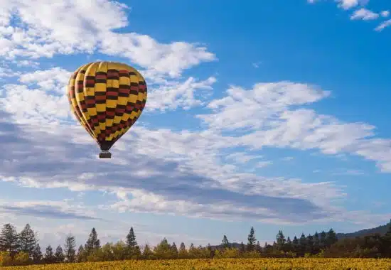 hot air balloon in sky