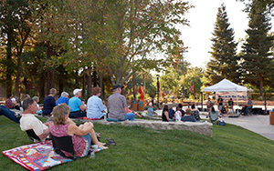 Concerts in the park