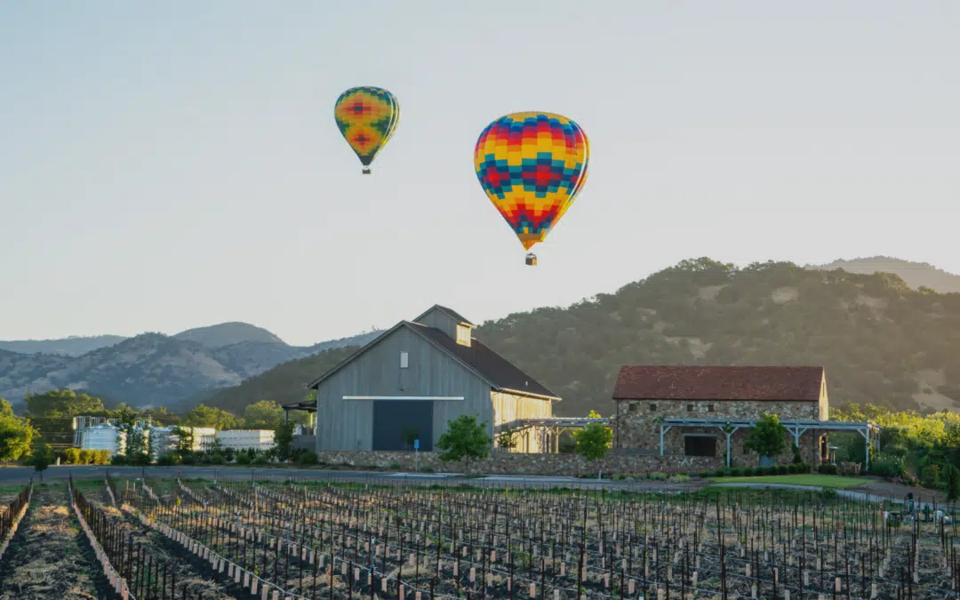 Napa Valley Aloft Hot Air Balloon Rides