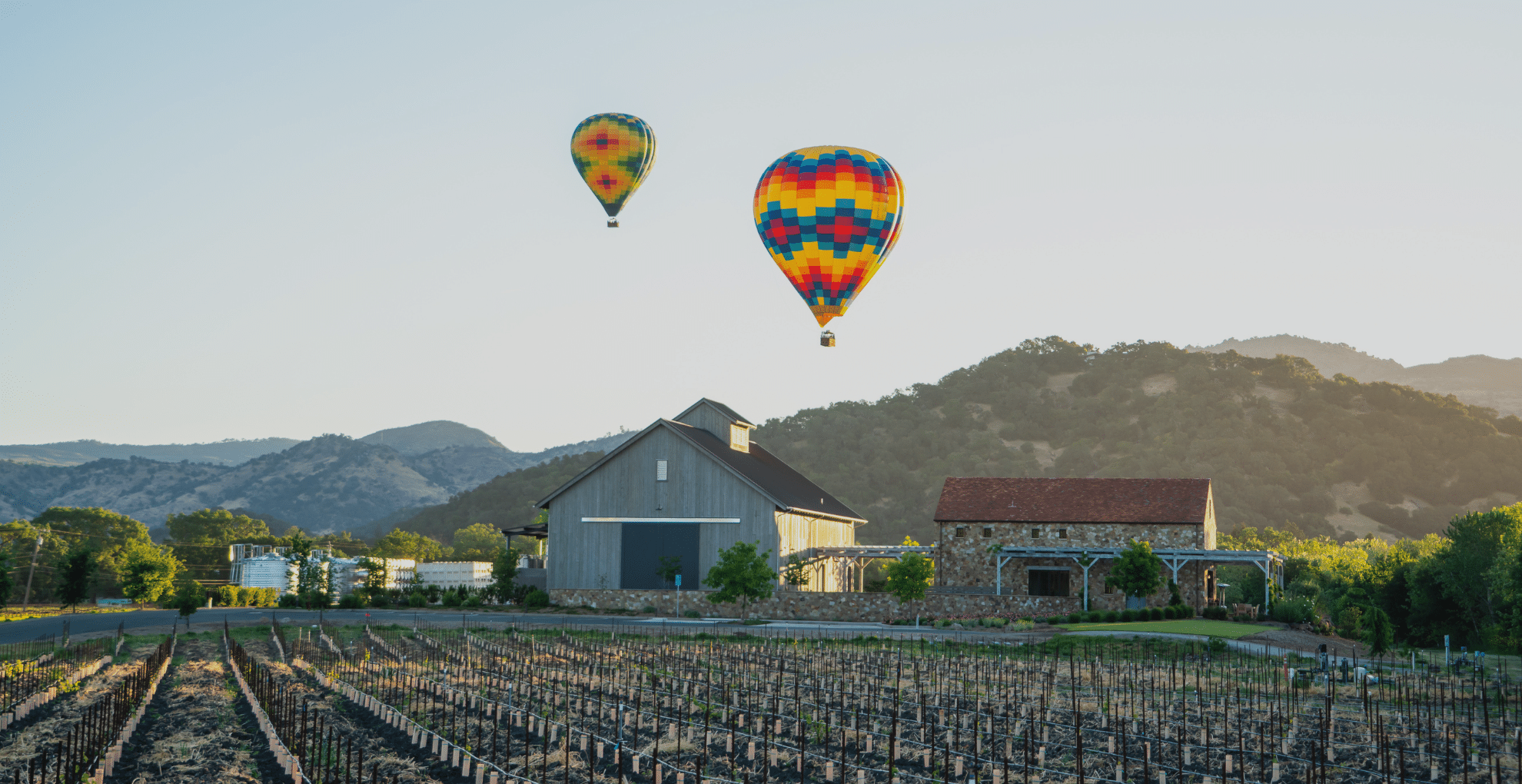 Hot Air Balloons in the sky