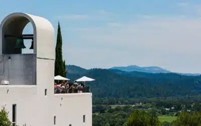 A Wine Tasting Day in Napa Valley