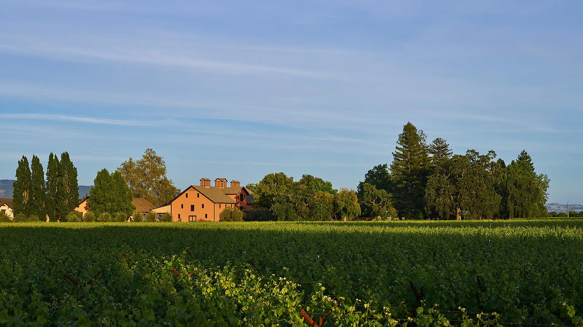 Trefethen Family Vineyards