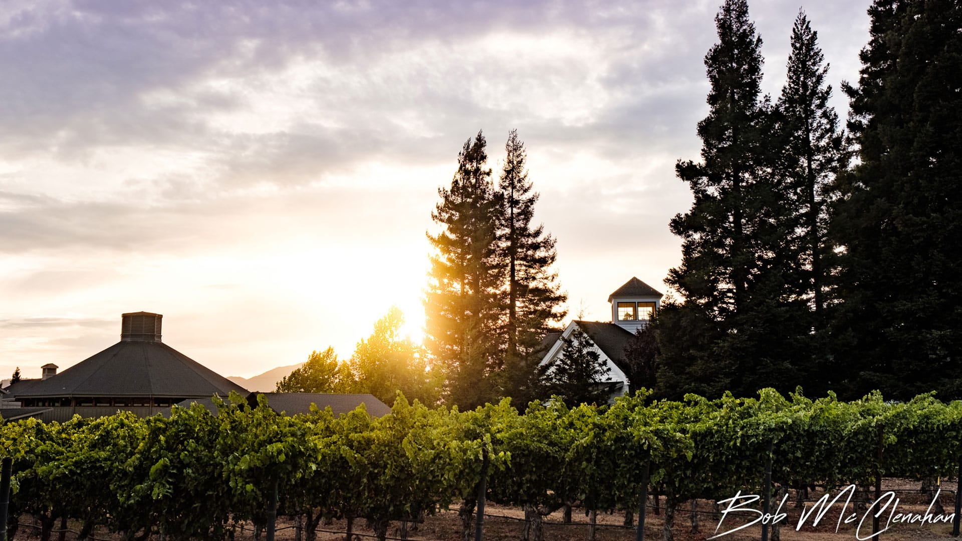 Paraduxx Winery Yountville