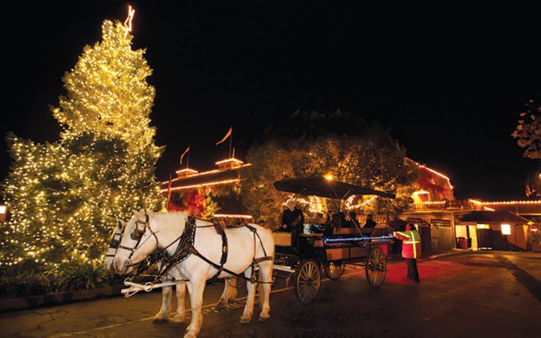 Free Carriage Rides Through Yountville