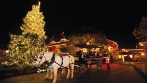 Free Carriage Rides Through Yountville @ Yountville Community Center