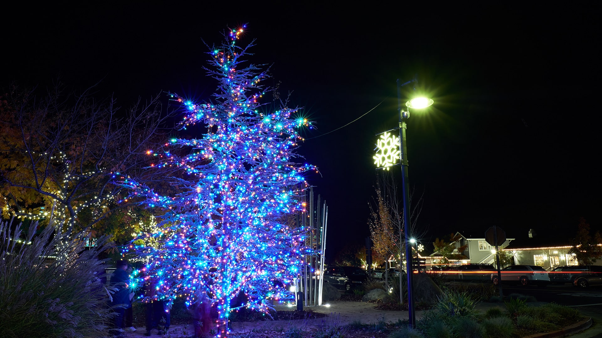 Yountville Town & Tree Lighting Yountville