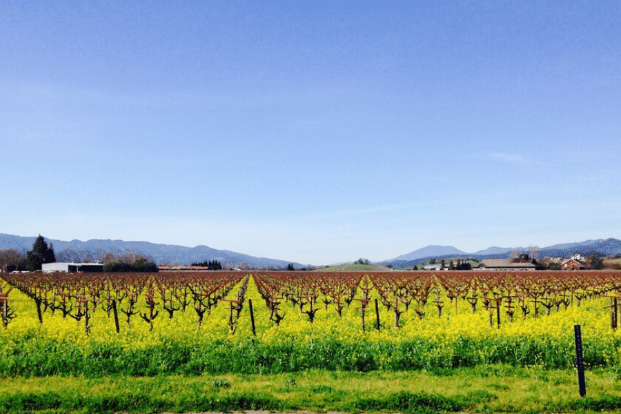 Yountville