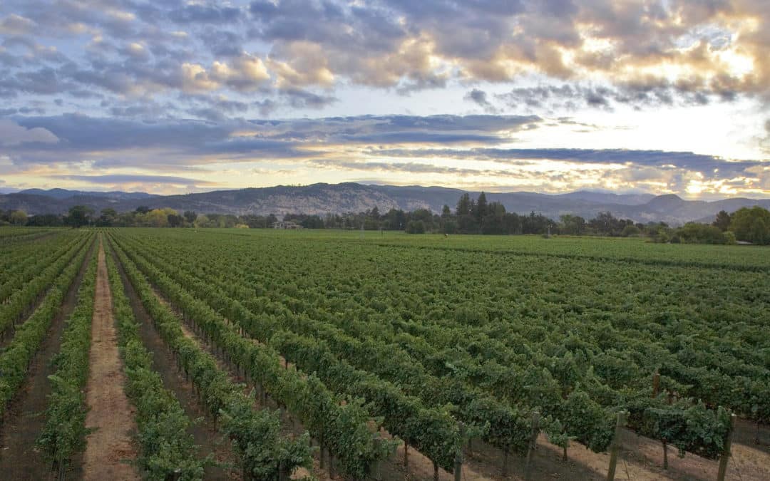 Itinerary: Three Day Weekend in Yountville