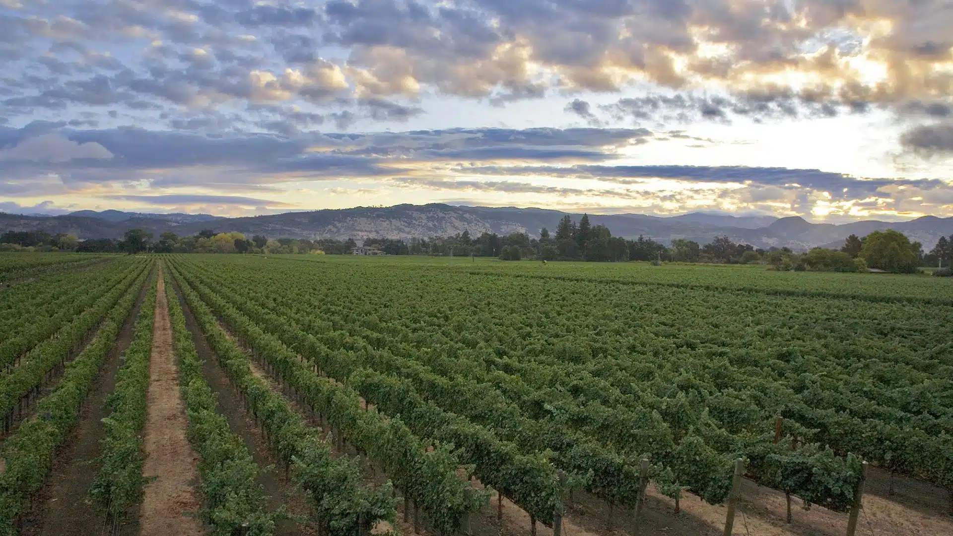 Sequoia Grove Winery