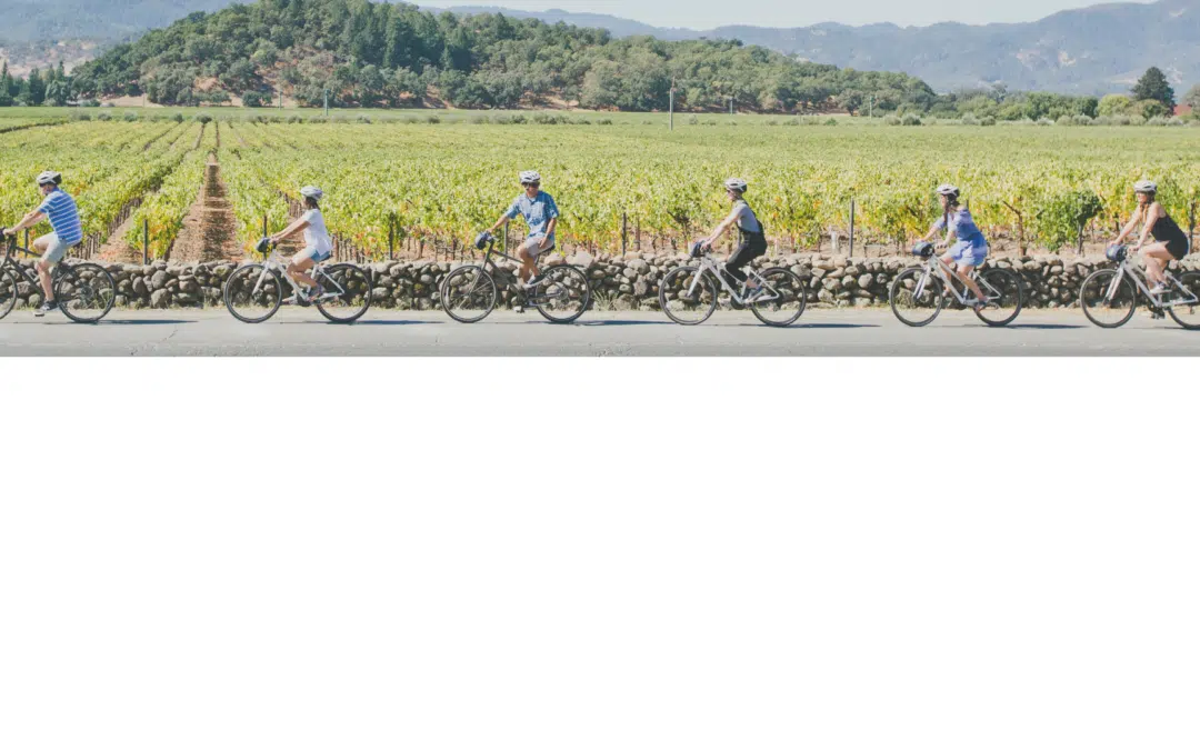 Napa Valley Bike Tours & Rentals