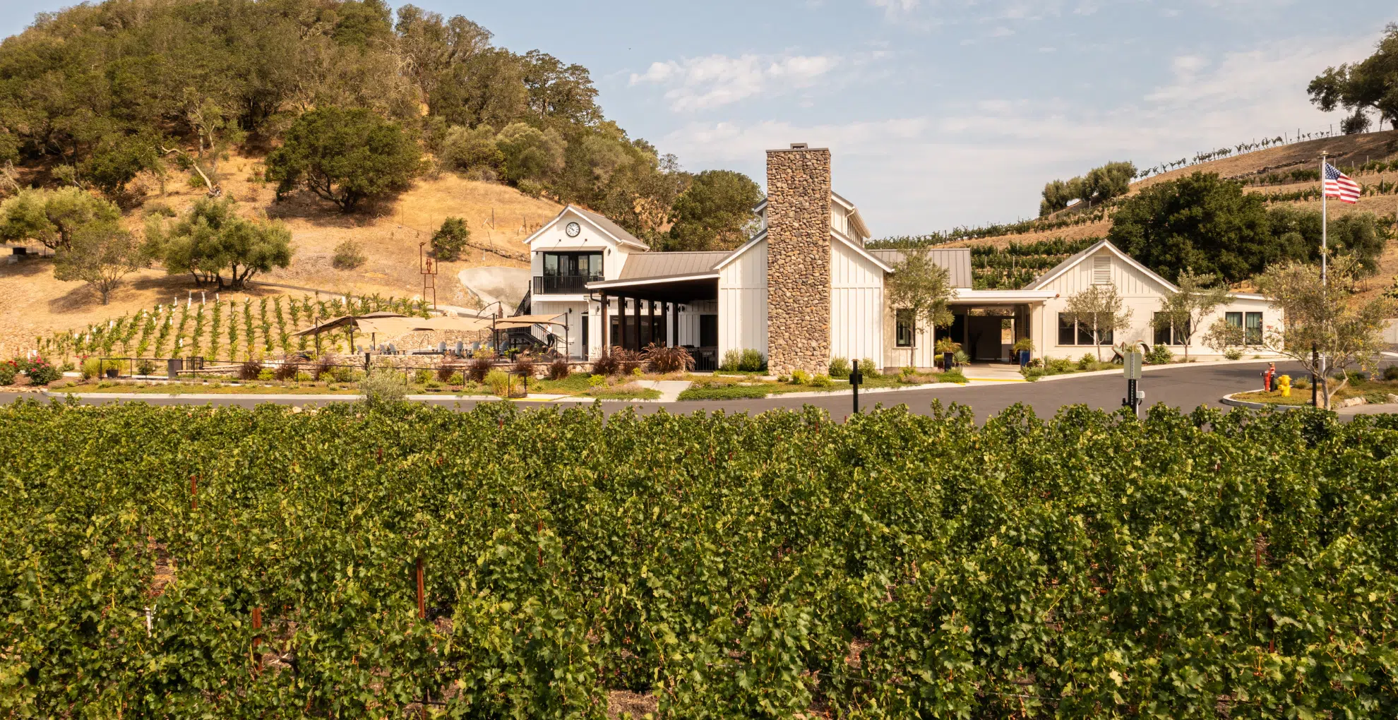 Baldacci Family Vineyards