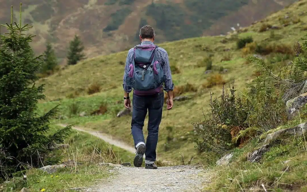 Best Hiking in Napa Valley