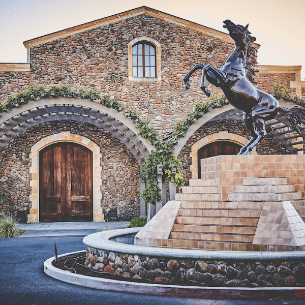 black stallion 600x600