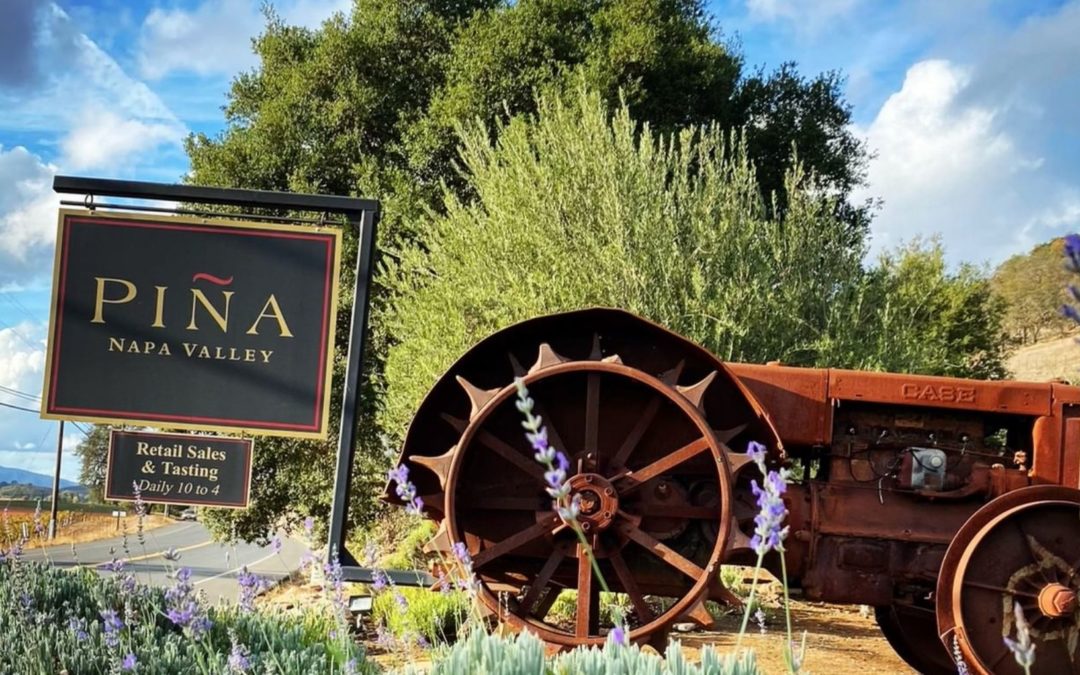 Pina Napa Valley