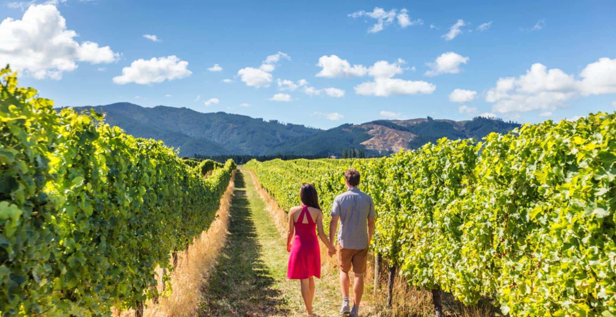 lady in a pink dress and man in shorts and a tshirt walking through vineyards