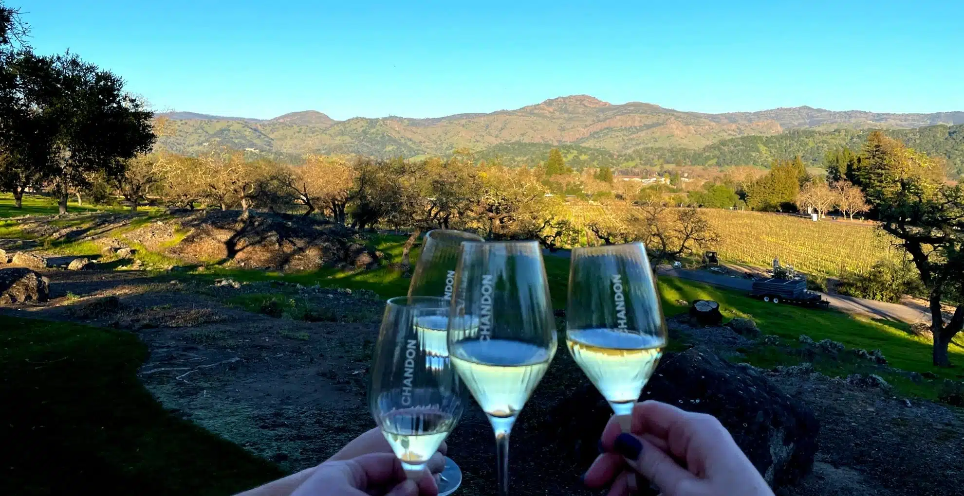 Chandon Blog Cover Photo