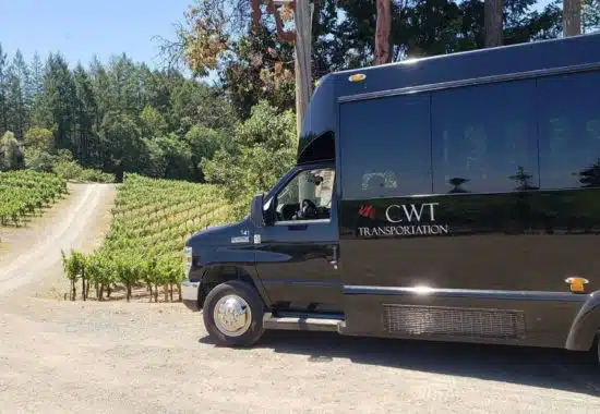 California Wine Tours