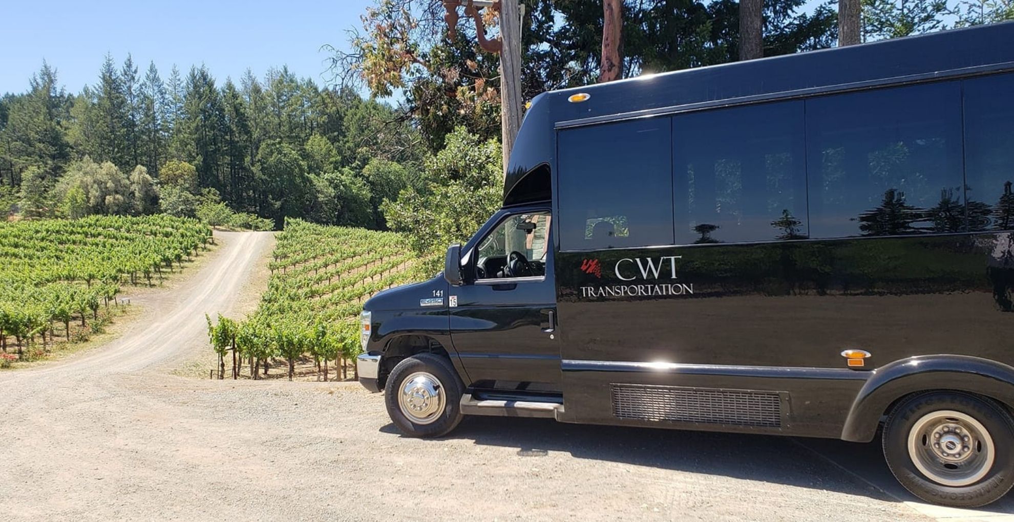 California Wine Tours