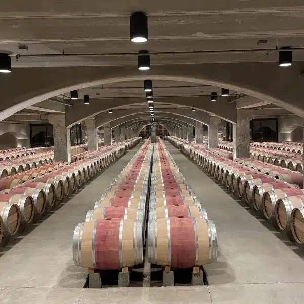 Inside the barrel room at Mondavi