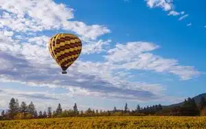 hot air balloon over vineyards