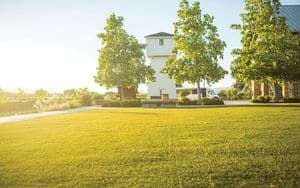 Grass with Silver Oak Water Tower