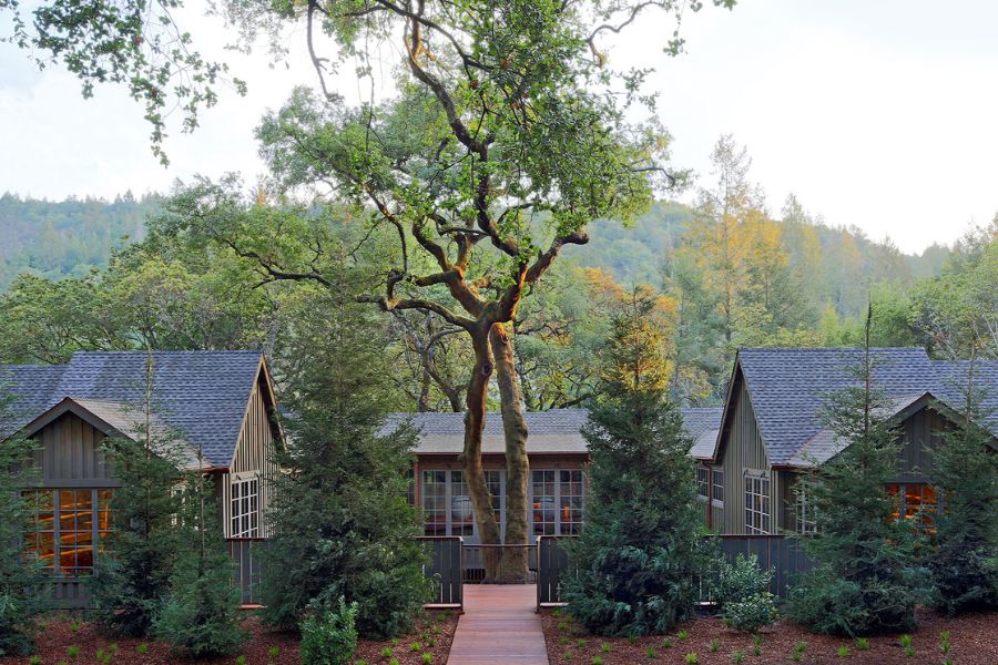 Front of meadowood spa with oak tree