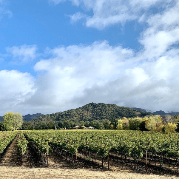 Mira Winery Napa Valley