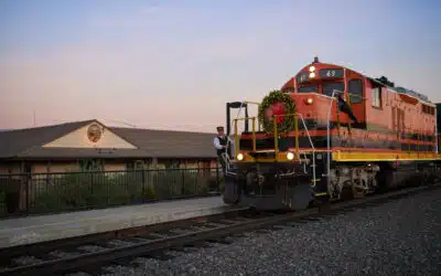 Holiday Magic on The Santa Train