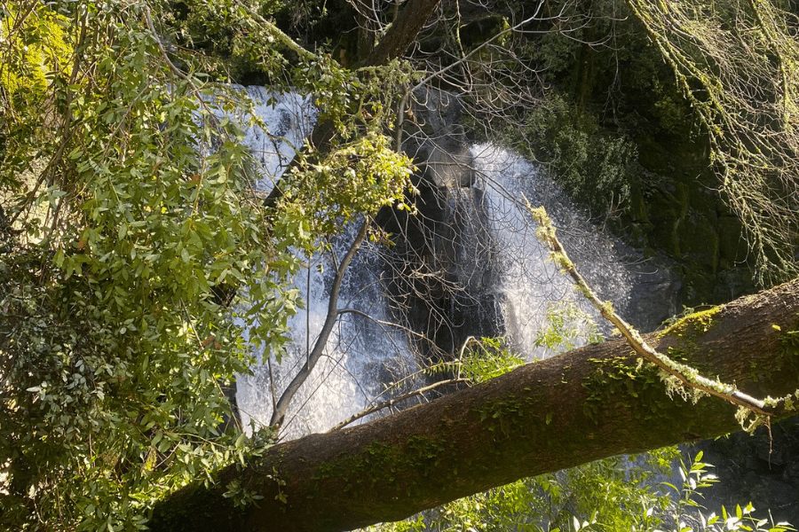 Linda Falls-Featuring a waterfall cascading over rocks