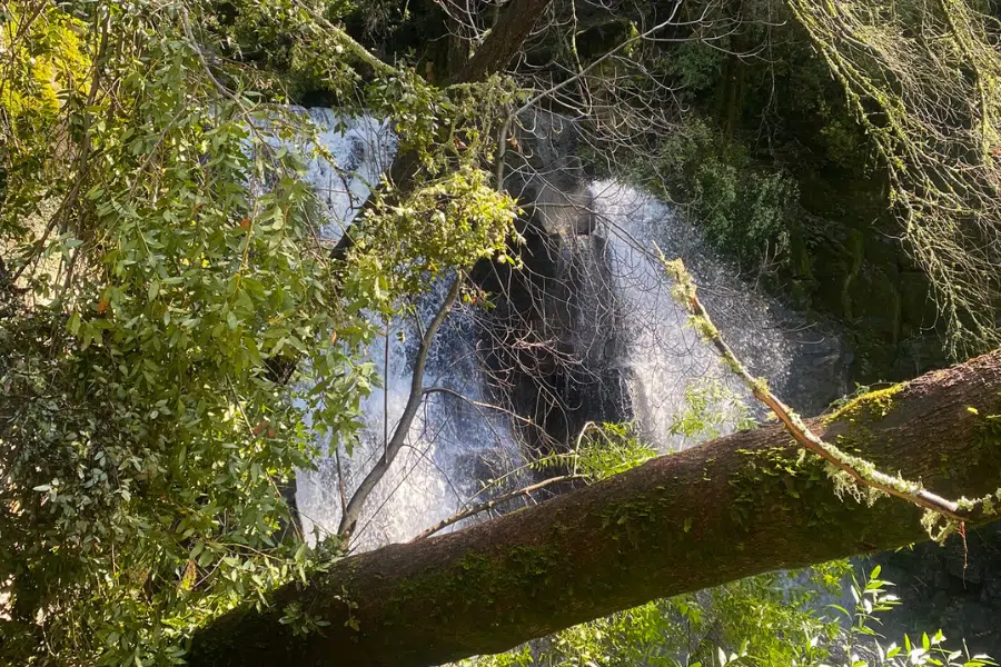 Linda Falls-Featuring a waterfall cascading over rocks