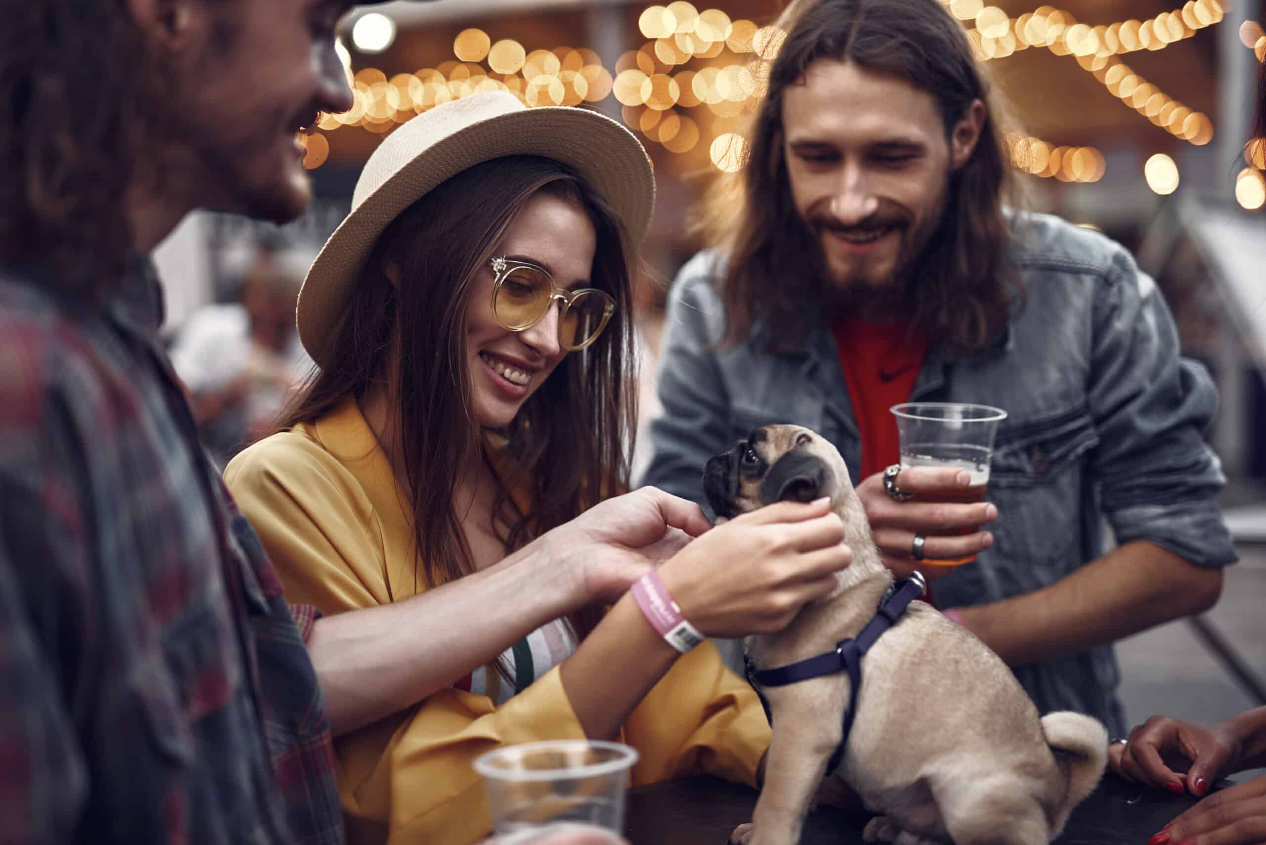 Young people petting little pug while standing at the table