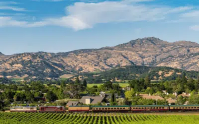 August 2023 Events in Napa Valley