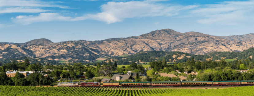 scenic view of vineyards and mountain side