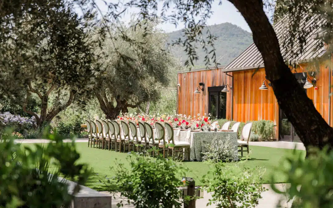 table and chairs setup on a lawn