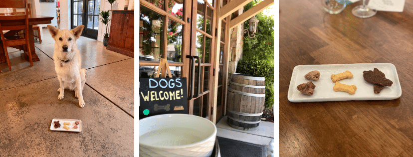 Unleash the Fun: Jessup Cellars’ Pup Tasting Menu