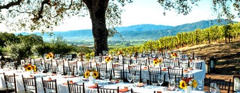 table setup under a tree