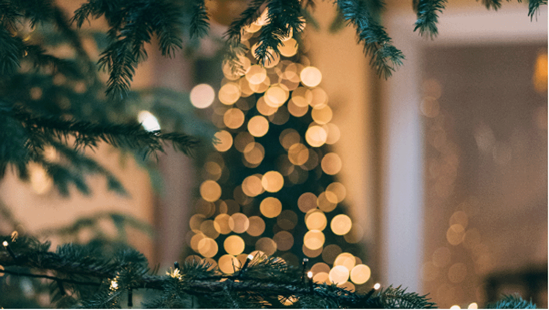 Silverado Resort and Spa Tree Lighting event