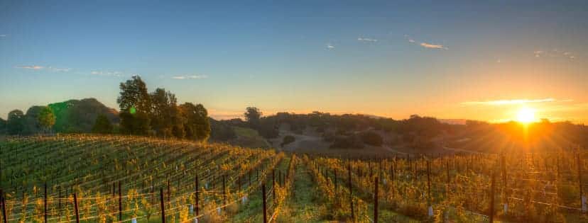 January Events in Yountville and Napa Valley