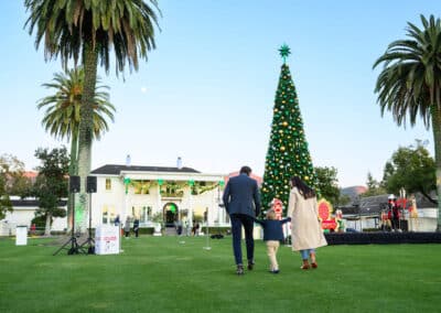 christmas tree lit up in front of silverado resort