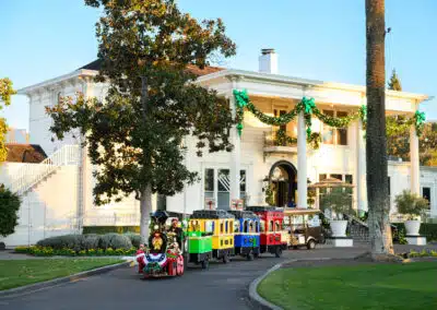 christmas tree lit up in front of silverado resort