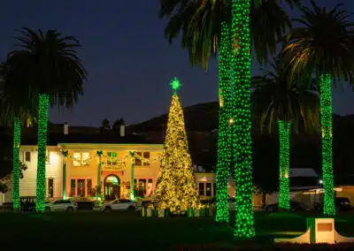 christmas tree lit up in front of silverado resort