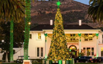 Exploring Holiday Magic in Yountville and Napa Valley