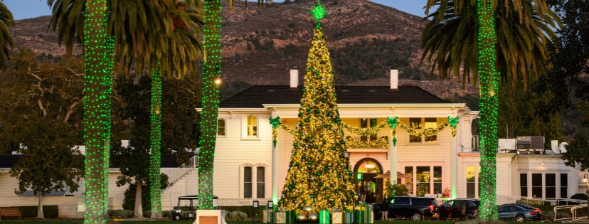 christmas tree lit up in front of silverado resort
