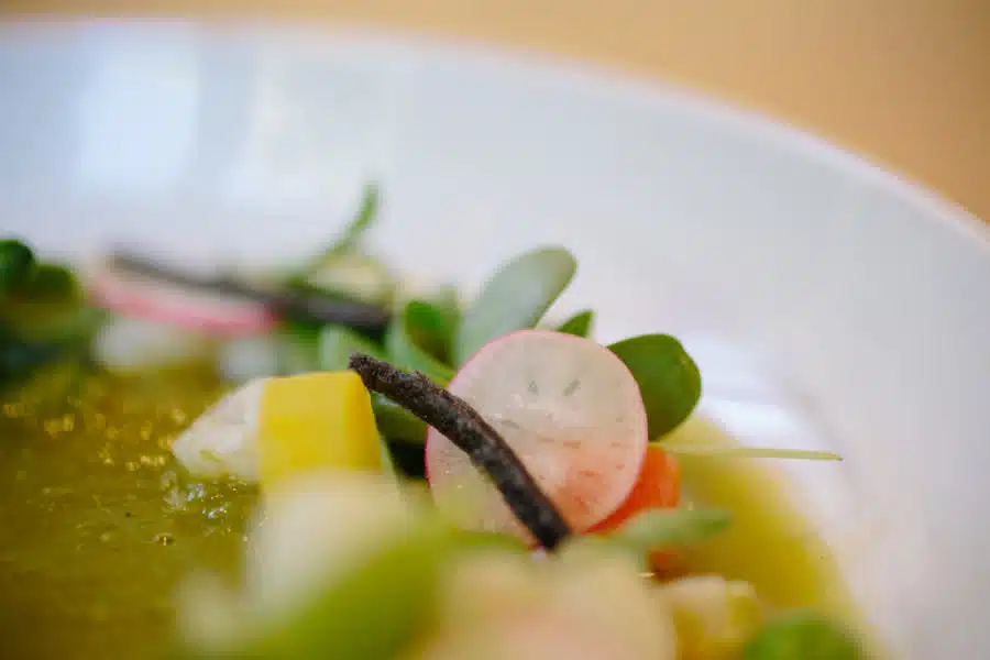 closeup of food on plate