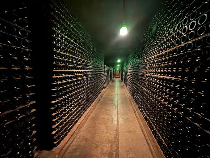 wine bottles on shelves lining walkway
