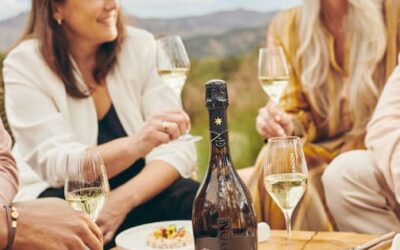 A Must-Experience Champagne Only Wine Tour in Napa Valley