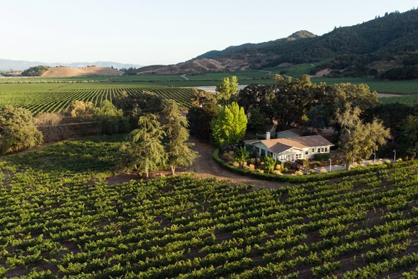 arial view of vineyards